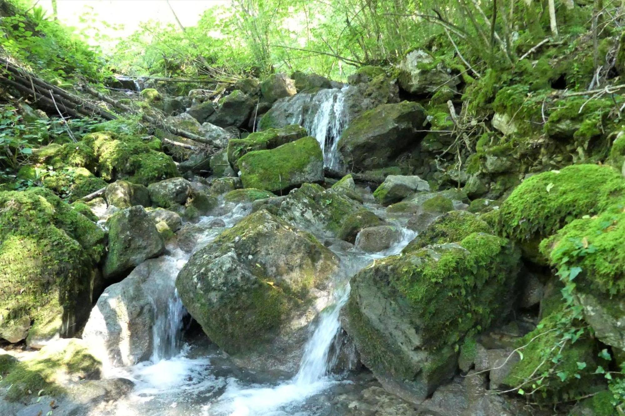 House By The Stream - Happy Rentals Avce Bagian luar foto