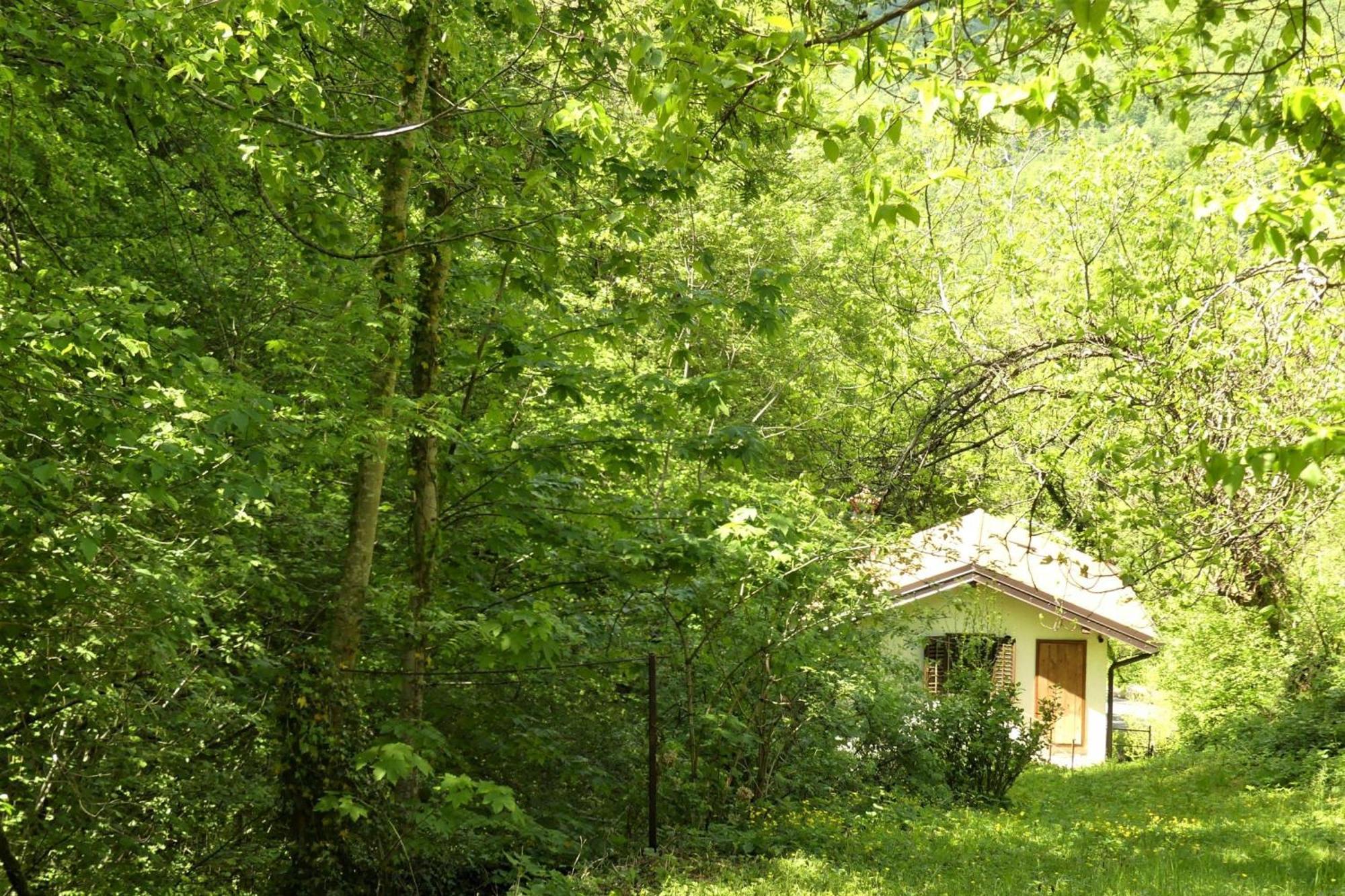 House By The Stream - Happy Rentals Avce Bagian luar foto